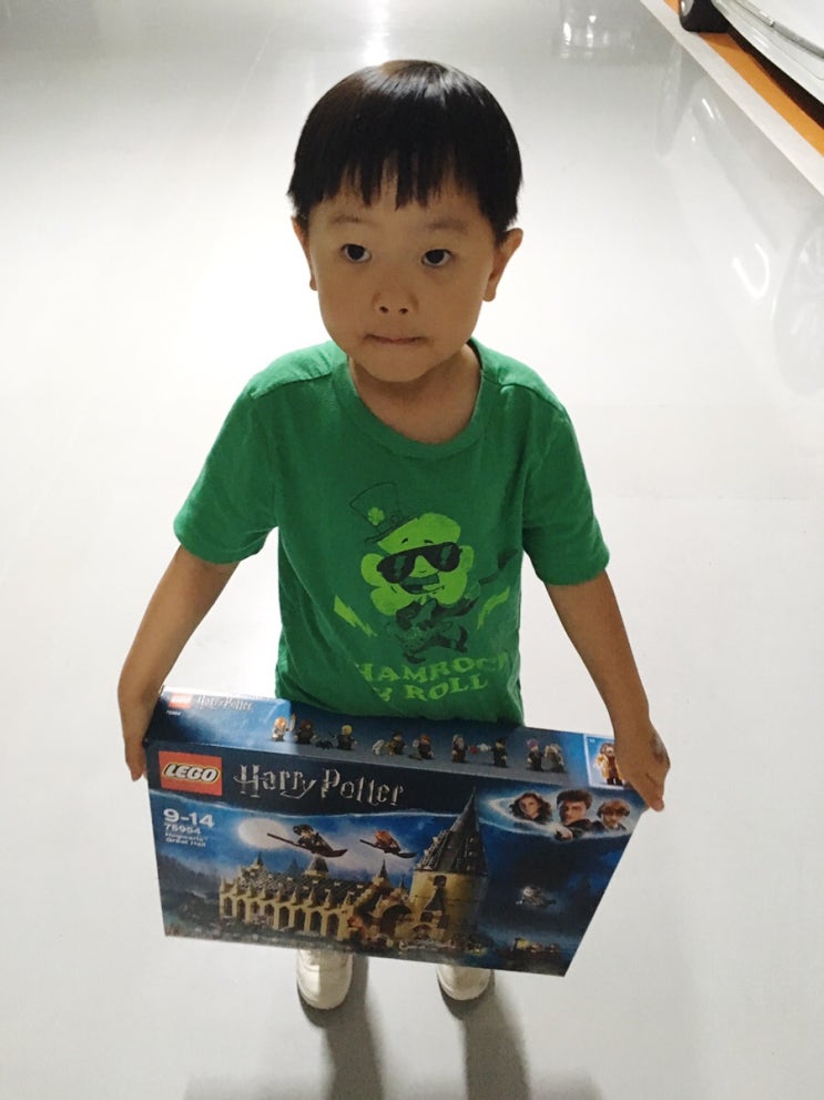  6살 생일선물 해리포터 그레이트홀 레고 75954