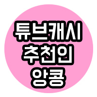  튜브캐시 (추천인: 앙콩) 3개월 동안 얼마나 모았을까 ?