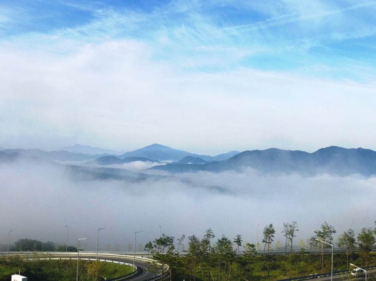  며칠 동안