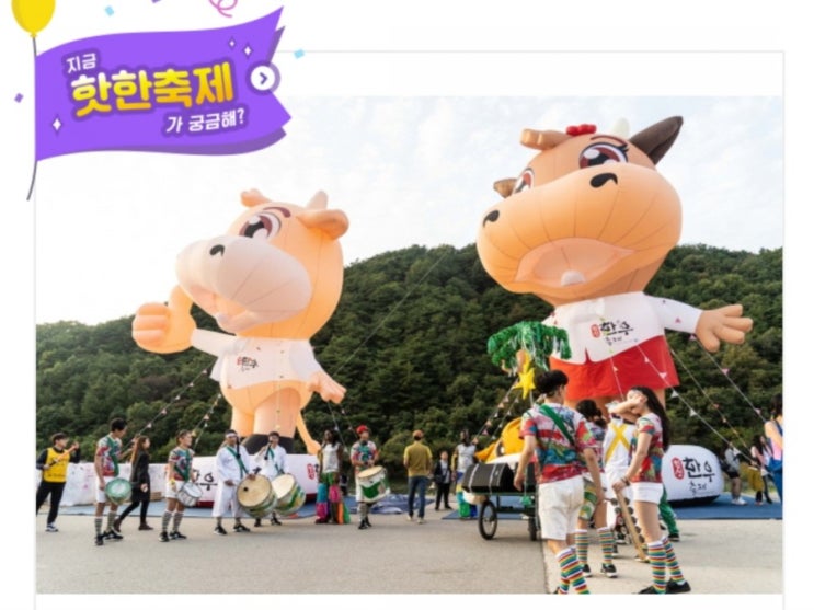  강원도 가볼만 한곳, 2019횡성한우축제