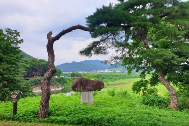  조선시대 만든 교육시설 청도 선암서원