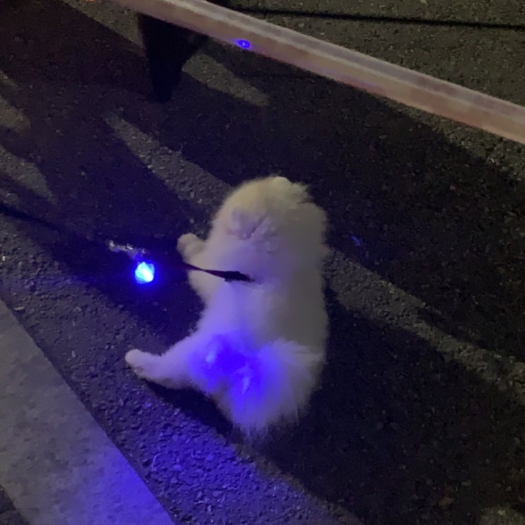  네번째 일상