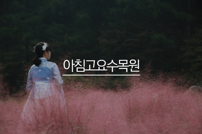  서울 근교 가볼만한곳 - 아침고요수목원 단풍 구경
