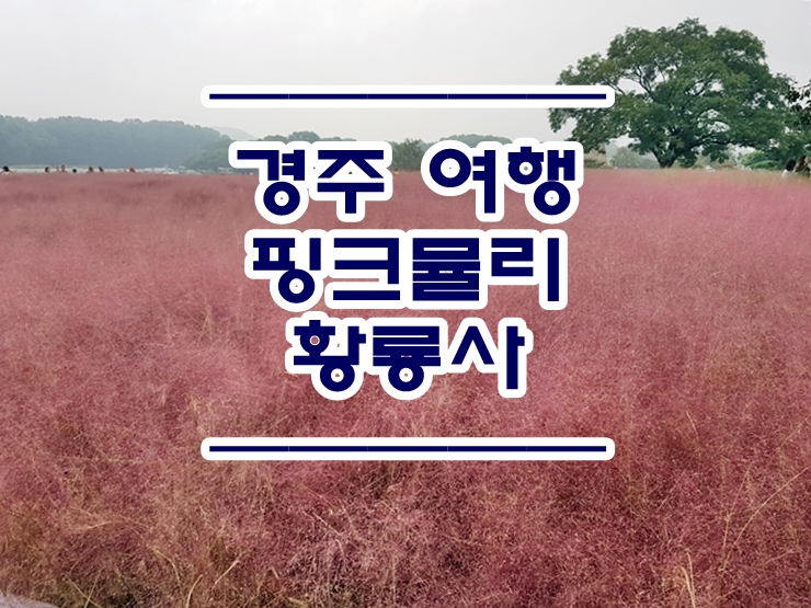  경주여행 :: 혼자 떠나는 경주 여행 필수코스