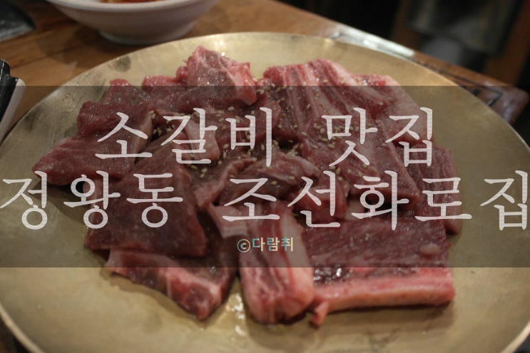  소갈비 맛집 정왕동 <조선화로집>