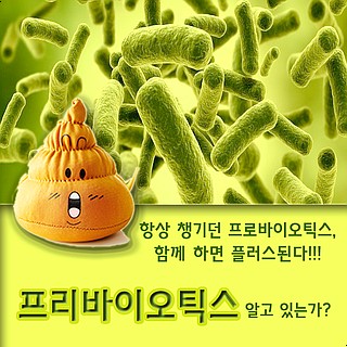  항상 챙기던 프로바이오틱스, 함께 하면 플러스된다!! 프리바이오틱스 알고 있는가?
