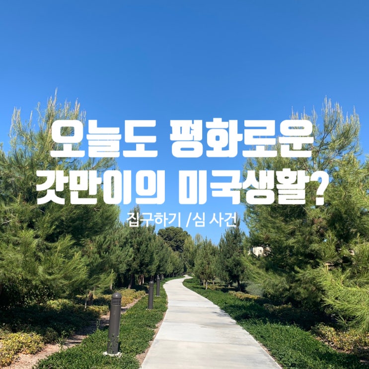  해외인턴 일상 두번째 결국 모든 것은 타이밍?(미국 유심칩, 미국에서 집구하는 방법)