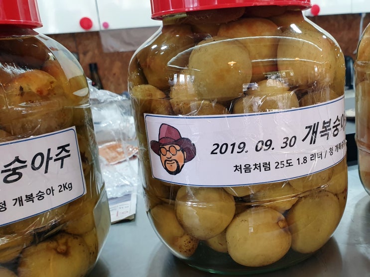  가을이 가기 전에 개복숭아주 담그기
