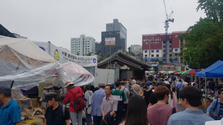 동묘 벼룩시장 교통편 쇼핑팁 전격 공개~~