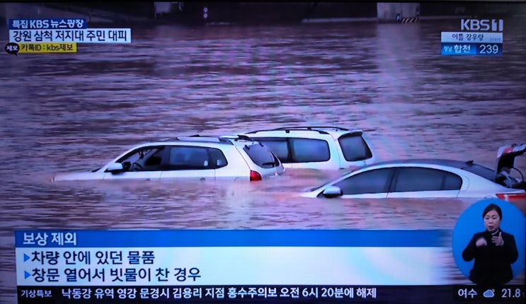  국경일 서기 전 2333년, 단기 제4352년, 개천절 - 태풍 미타 영남, 호남, 강원, 제주도  홍수, 침수, 농작물, 인명피해 발생, 여당 야당 정치집회 보다 대민 지원하자