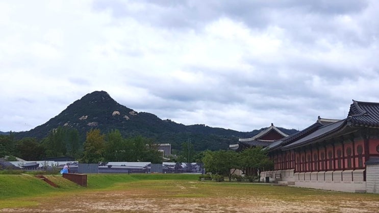  [서울 가볼만한 곳]경복궁,통인시장