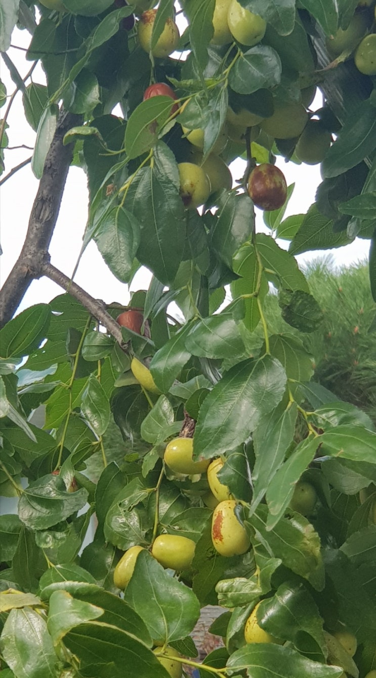 眞正한 所有物
