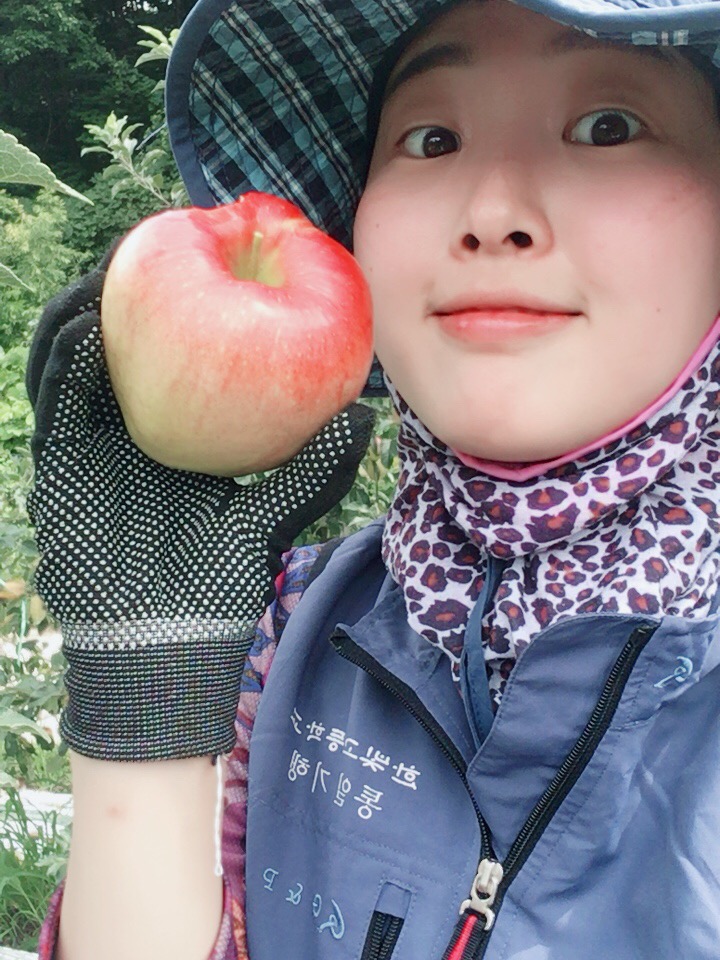  복두꺼비농장 추석사과 홍로 품절