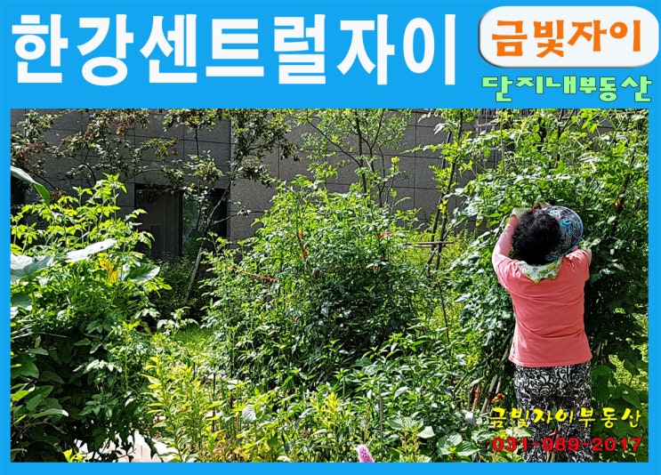  김포한강센트럴자이 1차의 텃밭 풍경