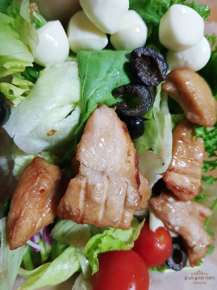  스팀 닭가슴살 추천 잇메이트로 다이어트 식단을 맛있게