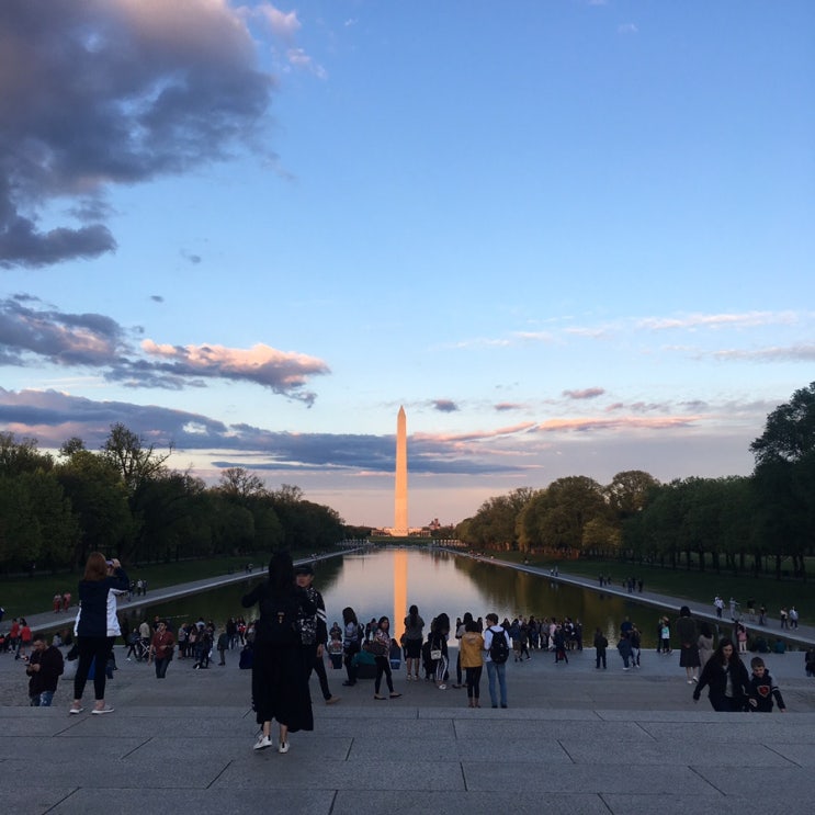  #2. Washington D.C, 진짜 미국으로