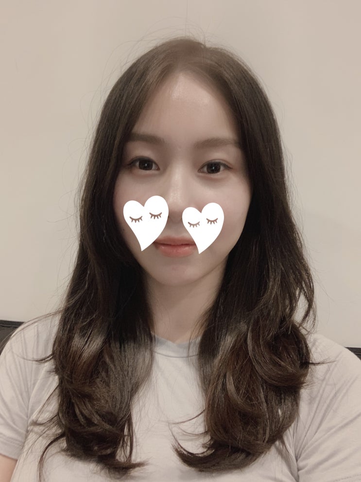  허벌라이프 다이어트 가격 -40kg성공 ㅎㅎ