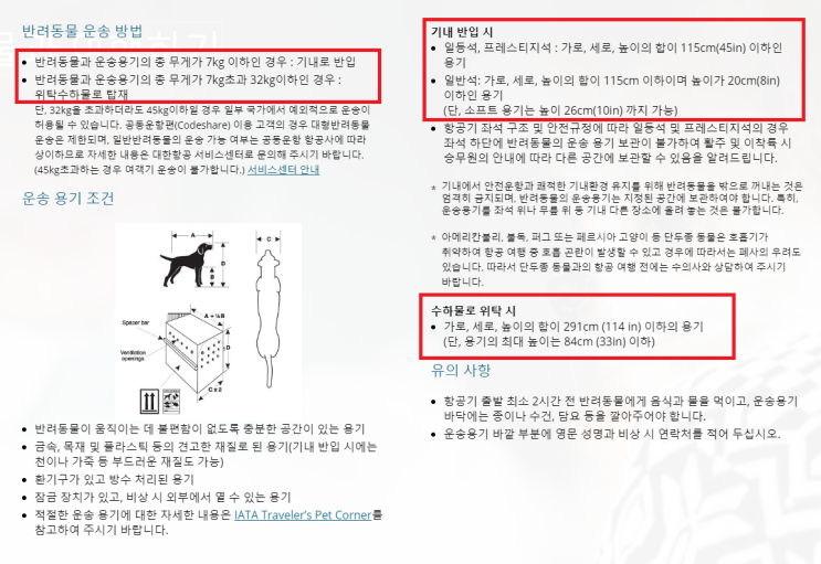  강아지 대한항공 비행기 탑승 비숑프리제 꼬물이 밍키와 제주도 여행기 1탄