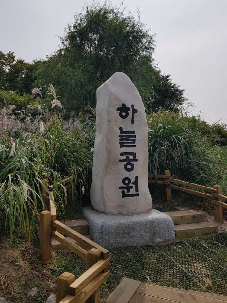  ((억새축제)) 하늘공원 으로 가을 나들이 가요.