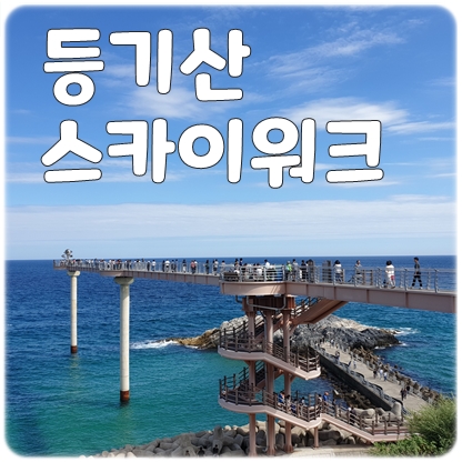  울진스카이워크 중 최고라고 생각하는 등기산 스카이워크