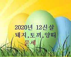  2020년 돼지띠 토끼띠 양띠의 도화살그룹 운세 경자년 사주풀이 12신살로 본 ?