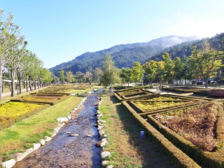  강원도 평창 아이와 가볼만한곳 1박2일코스~