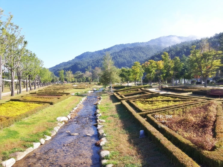 강원도 평창 아이와 가볼만한곳 1박2일코스~