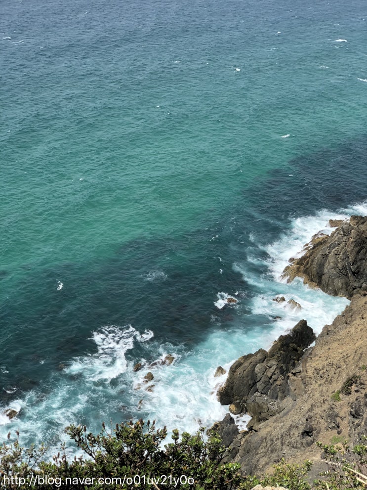  Byron Bay 그리고 Gold coast. W/ frnds
