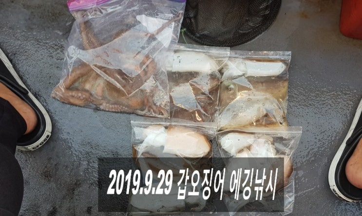  2019.9.29 군산 비응항 갑오징어낚시 (마스터호) (#.48)