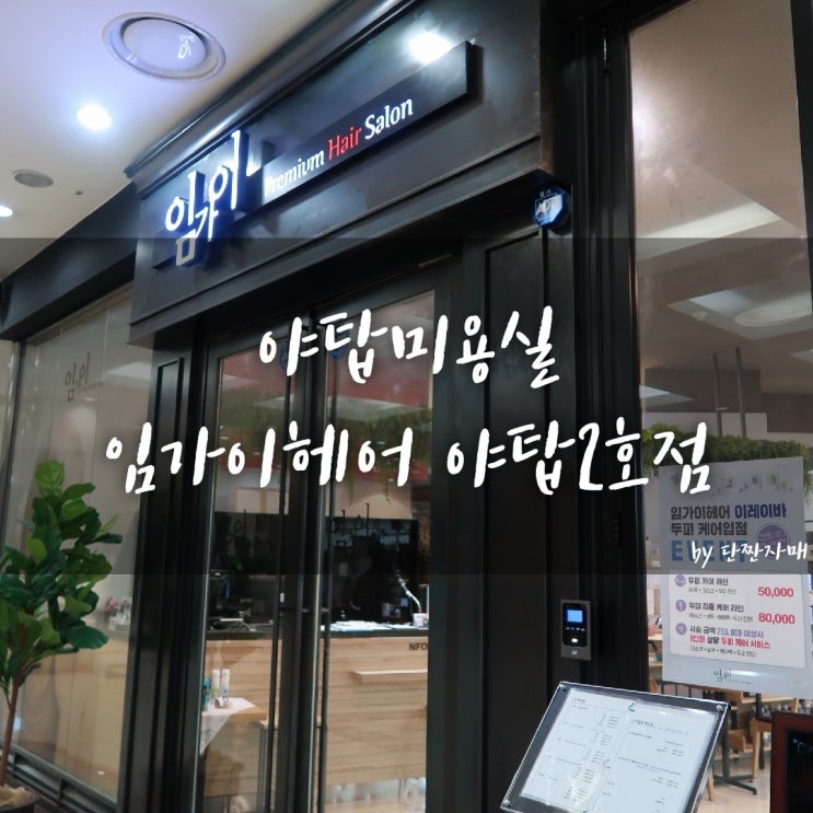  야탑미용실 :: 임가이헤어 야탑2호점에서 매트브라운 톤업 염색 후기