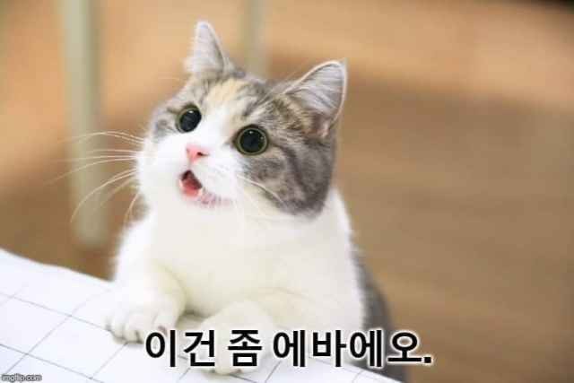  일상: 회사생활(아 이거 에바에요), 사랑하는 우리개, 강남 라공방, 배스킨라벤스, 귀걸이 선물