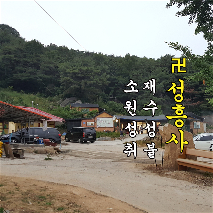#장항점집 진솔하게 점 봐주시네요 #장항점집 진솔하게 점 봐주시네요