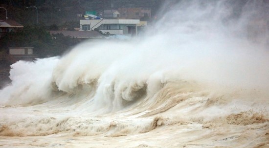 태풍 '미탁' 한반도 물폭탄에 1명 사망…하늘·바다·땅 교통 통제 
