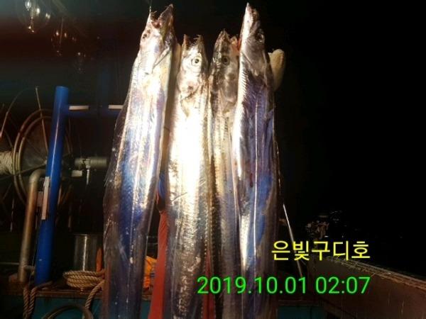  [은빛 구디피싱]~~통영은빛구디호   3일연속 줄을타고  쿨러조황~~~