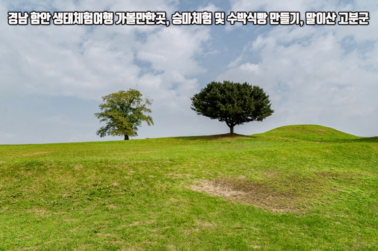 경남 함안 생태체험여행 가볼만한곳, 승마체험 및 수박식빵 만들기, 말이산 고분군