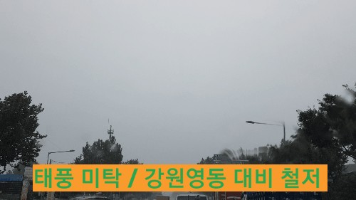 제18호 태풍 미탁 / 태풍정보