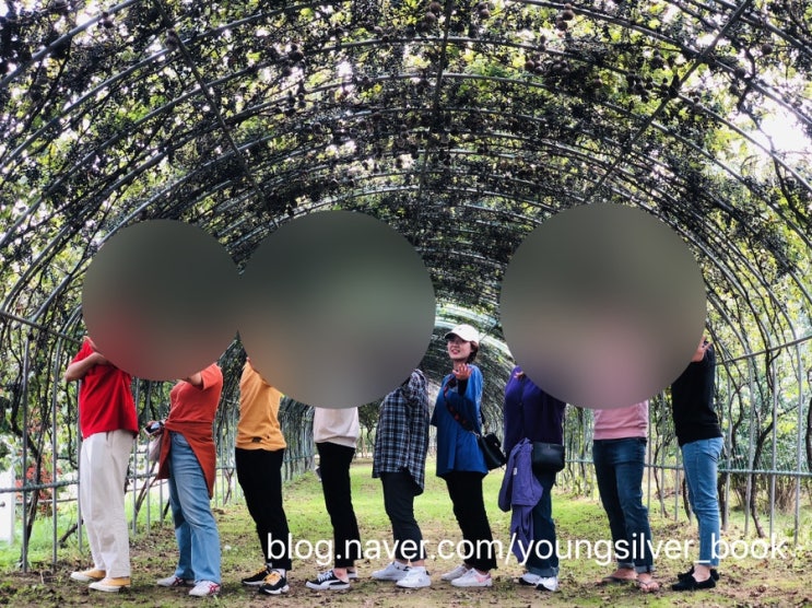  [당진 여행 추천] 빨주노초파남보입고 단체 여행하기