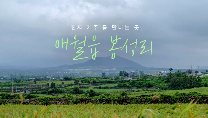  가을제주여행 애월읍 봉성리