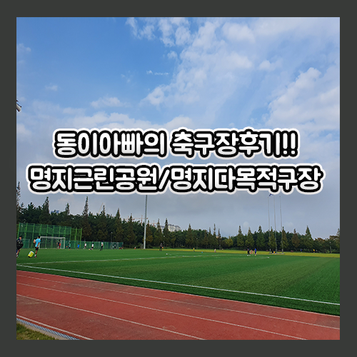 [부산축구장/명지축구장] 동이아빠의 축구장 사용 후기!! 이번에는 명지근린공원축구장, 명지다목적구장