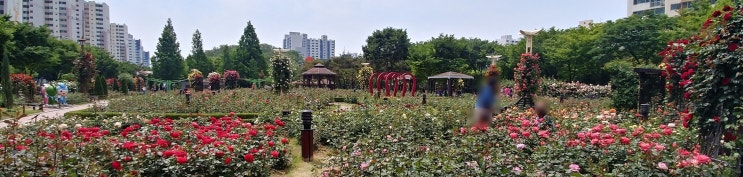 청춘(靑春)이란