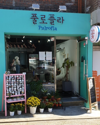 은평구 예쁜 민트색 꽃집 풀로플라 pulrofla 대조동 불광동 연신내 동명여고 조금더 달라지자 은평구 예쁜 민트색 꽃집 풀로플라 pulrofla 대조동 불광동 연신내 동명여고 조금더 달라지자