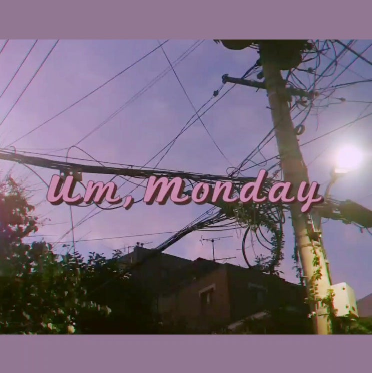  vlog ! ( 하루 그리고 일주일 )