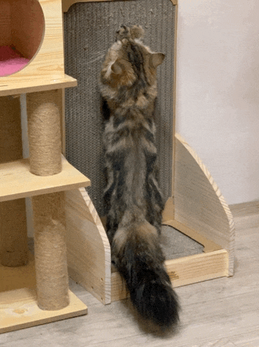  후지산 고양이 수직 캣스크래쳐로 스트레스 풀어줘요~