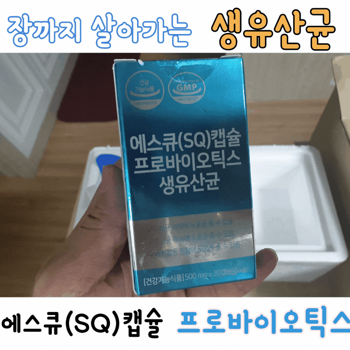  면역력 높이는 음식 유산균 추천 신바이오틱스 에스큐 SQ 캡슐