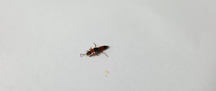  20191003