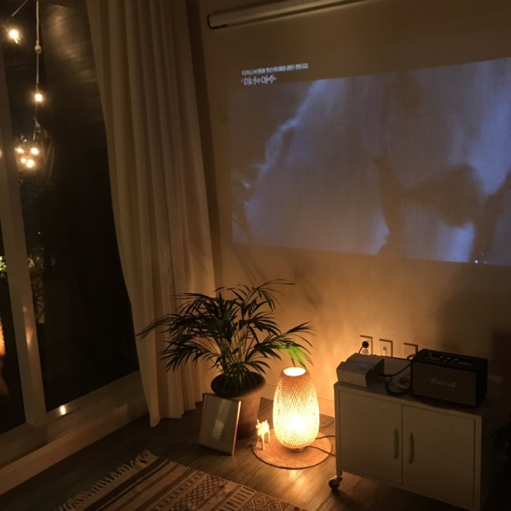  2019년 8월