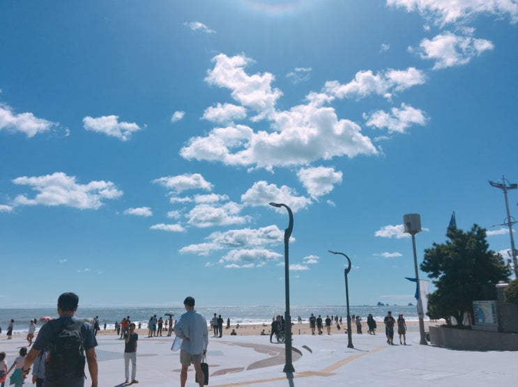  [일상] 부산당일치기여행 :: 부산태풍 :: 해운대  서이추환영