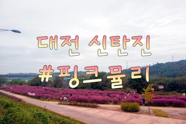  브롬톤 라이딩 : 대전 신탄진 핑크뮬리