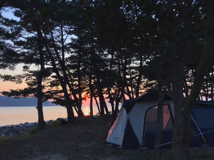  [태안캠핑장]바다보이는 오토캠핑장 : 바다여행캠핑장