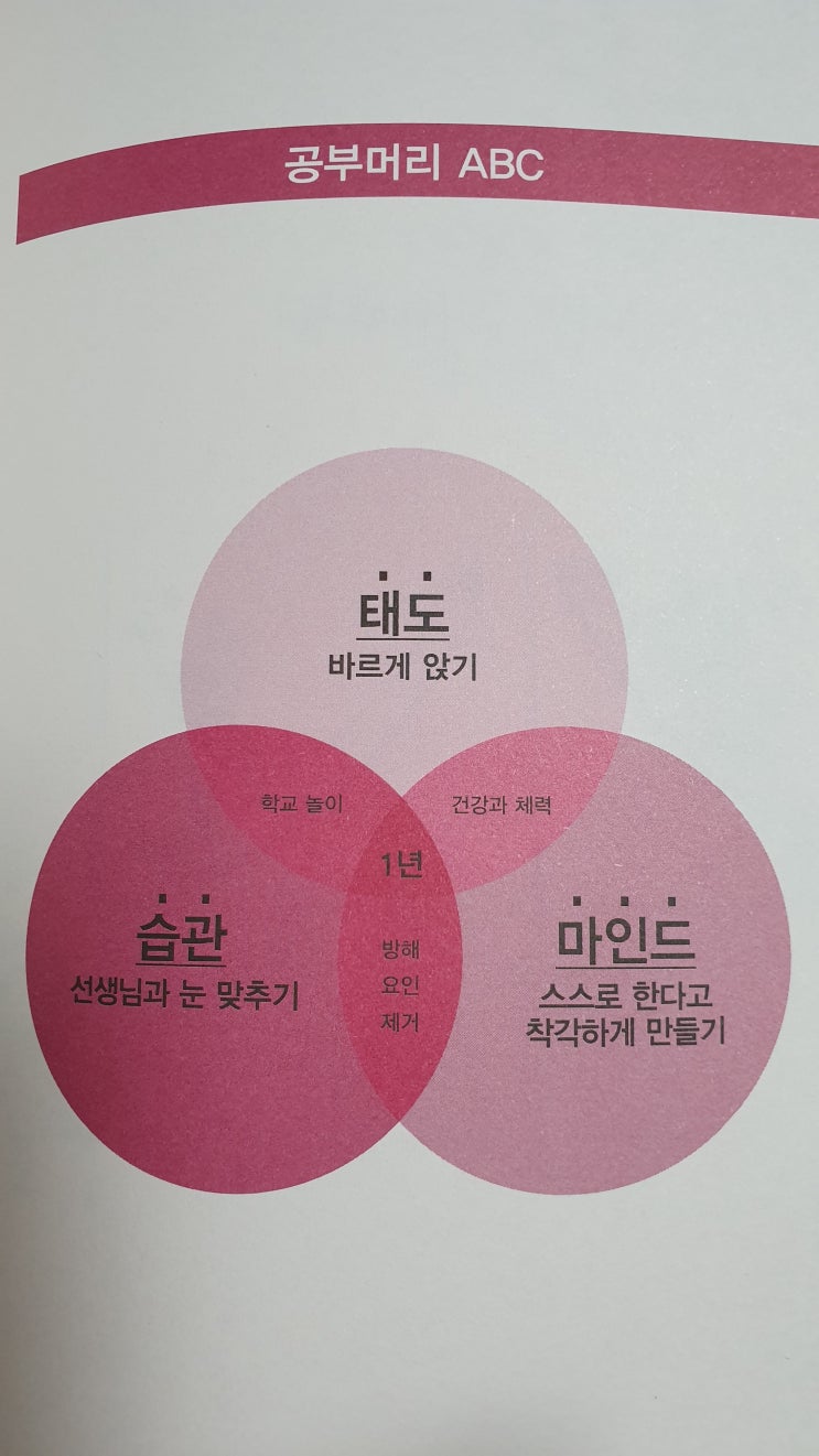  자기주도학습습관방법을 배우는 공부머리키우는 방법초등편,초등입학전추천도서,우등생만드는비법